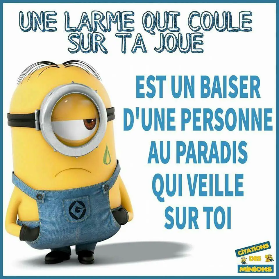 41 Citations De Minions Hilarantes !