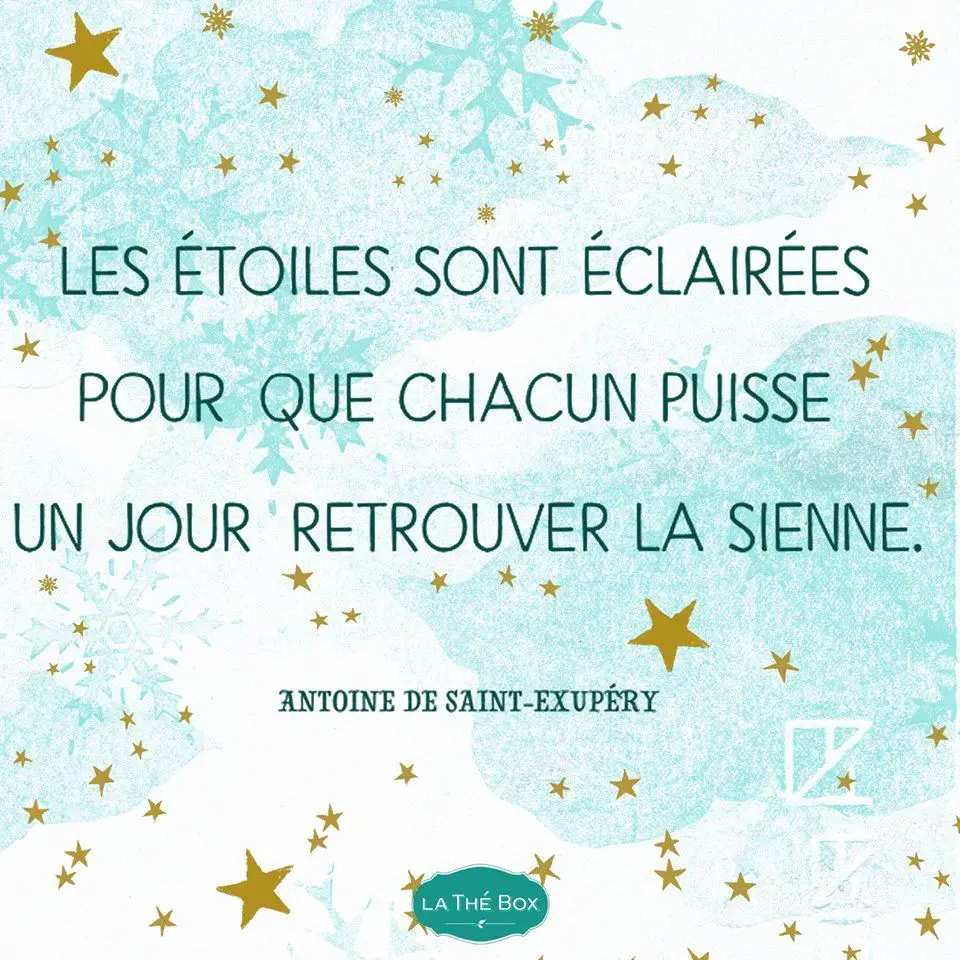 57 Citations Inspirantes Du Petit Prince !