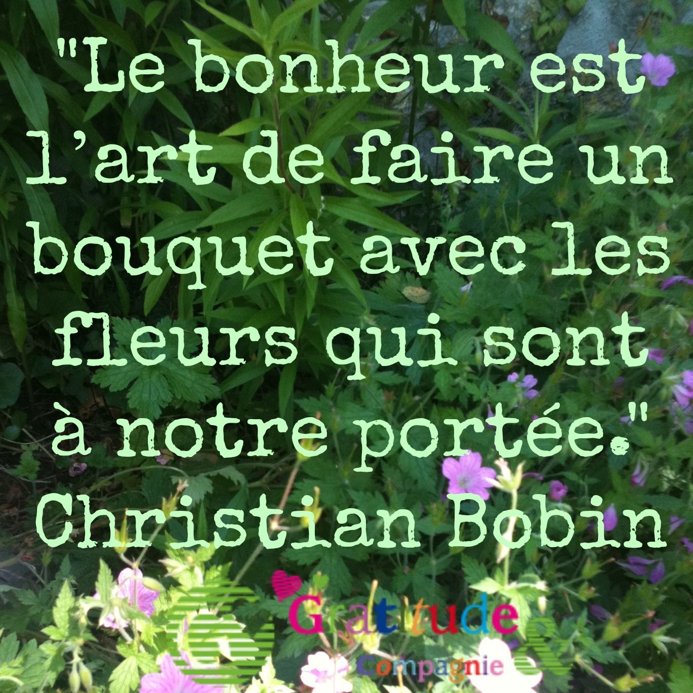 41 Citations Inspirantes Sur Les Fleurs