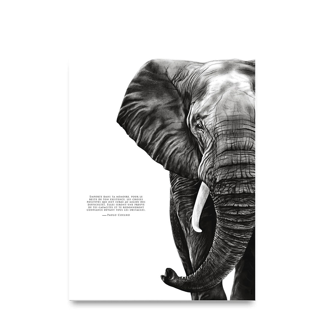 48 Citations Inspirantes Sur Les Éléphants 🐘