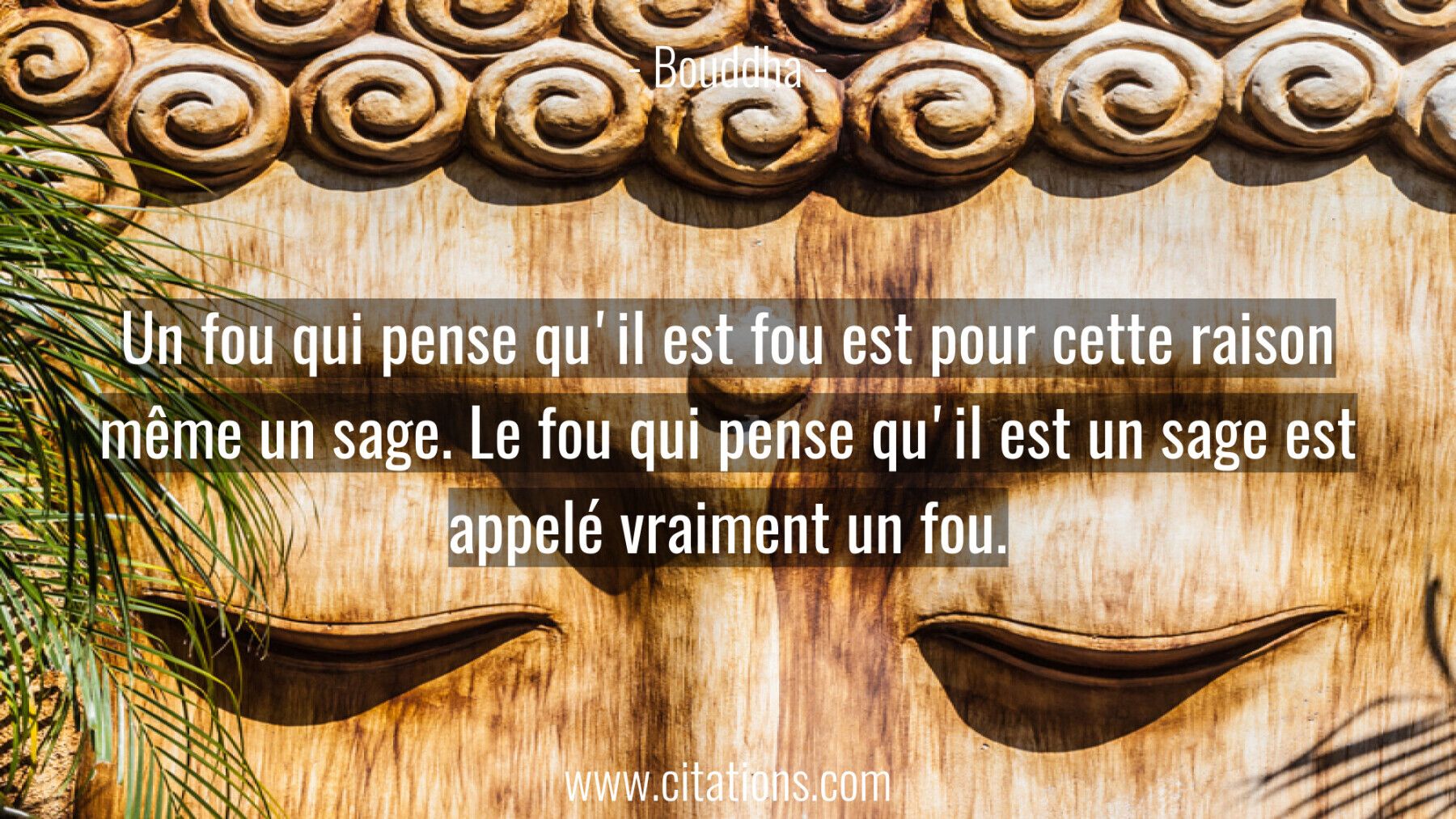 33 Citations Qui Vont Vous Rendre Fou De Bonheur!