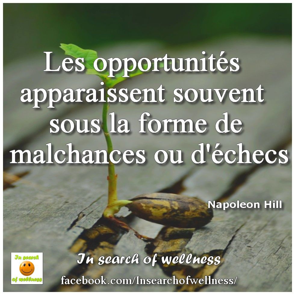 50 Citations Inspirantes De Napoleon Hill Pour Changer Votre Vie
