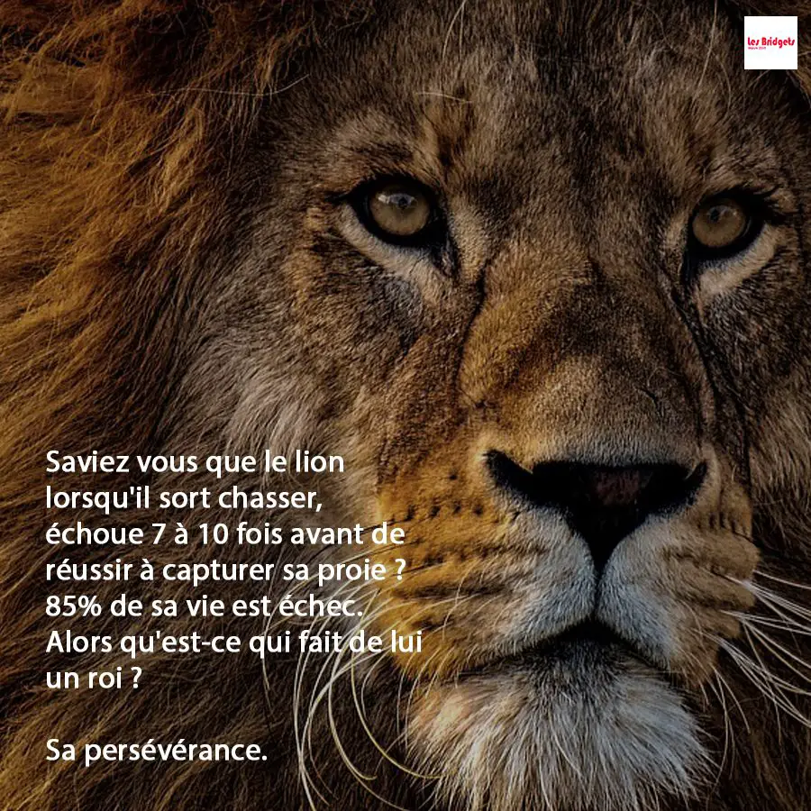 36 Citations Inspirantes Sur Le Lion