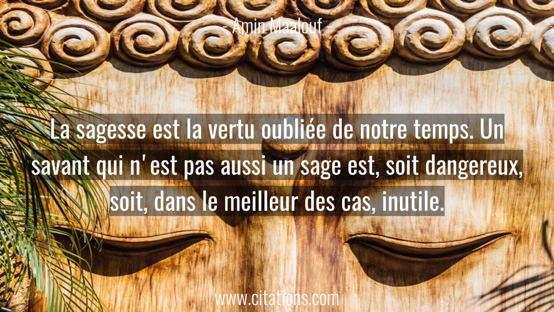 46 Citations Pour Cultiver La Sagesse Au Quotidien